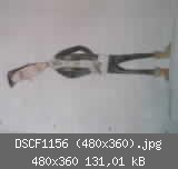 DSCF1156 (480x360).jpg