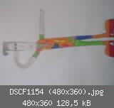 DSCF1154 (480x360).jpg
