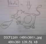 DSCF1160 (480x360).jpg